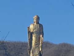 -中原大佛景区