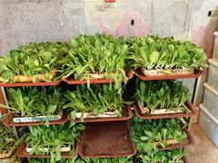 -宣威山野人家·云南菜·菌火锅(金碧店)