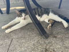 -柳莺湖上·湖景餐厅·江南菜(西湖店)