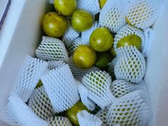 -呼吸森林·生态农庄农家乐私房菜