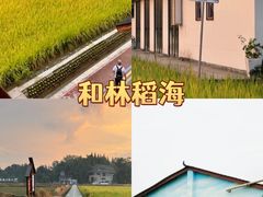 -老鼎万春卤菜(五代传承创始老店)