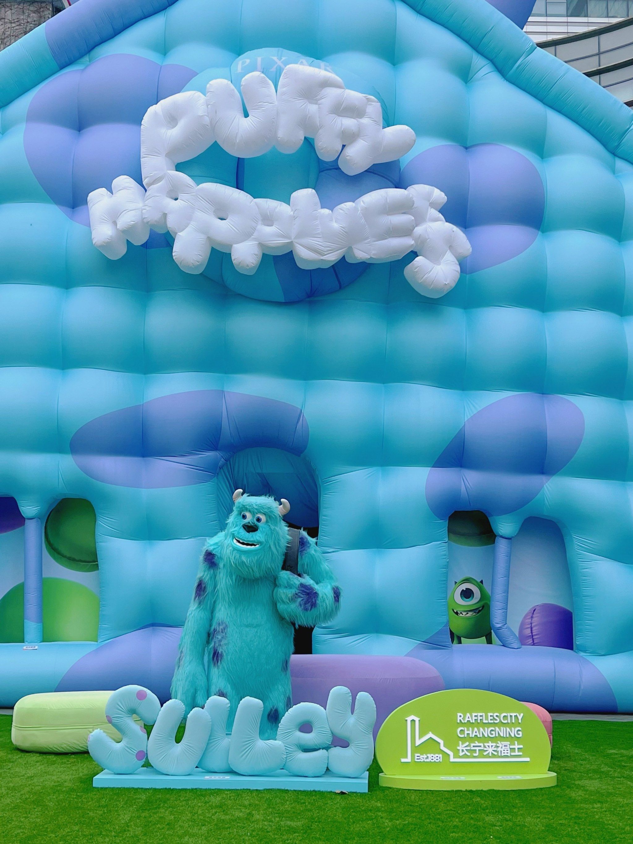 偶遇一只超大的苏利文90