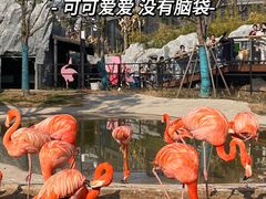 -武汉动物园