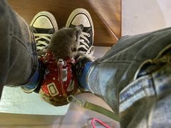 -My Way Town买味堂·东南亚餐厅(亦庄店)