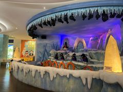 -帝企鹅自助餐厅•儿童岛•真企鹅(长隆企鹅酒店)