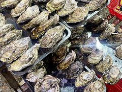 -蚝专家(北滘店)