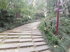 -成都市活水公园