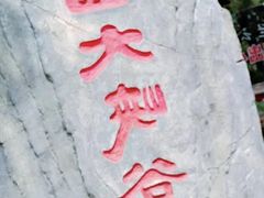 -木兰云雾山