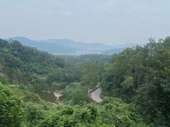 -火炉山森林公园