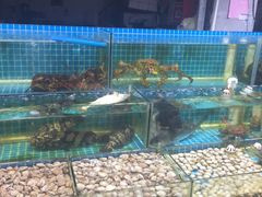 -无锡天鹏食品城