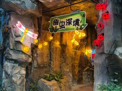 -正佳雨林生态植物园
