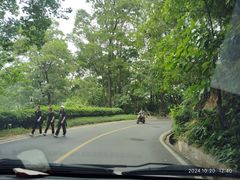 -火炉山森林公园