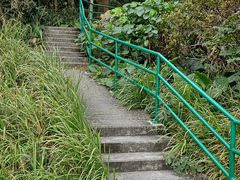 -长洲岛