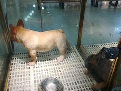 -乐宠宠物店(世纪金源店)