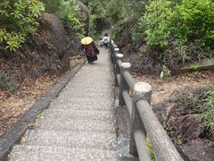 -玉苍山国家森林公园