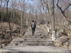 -石老人观光园