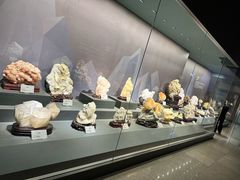 -湖南省地质博物馆