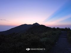 -大围山国家森林公园
