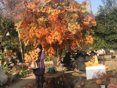 -HERRE·FARM 赫尔露营农场·团建聚会包场