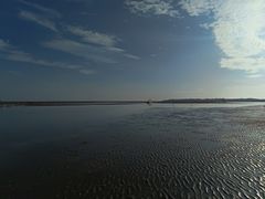 -北海金海湾红树林生态旅游区