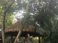 -海兰云天度假区温泉