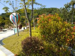 -广州白江湖森林公园