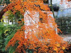 -狼山风景名胜区