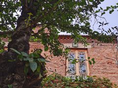 -张家大院·鲁菜·私房菜(芙蓉街店)