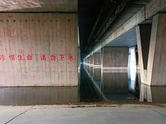 -绿堤公园