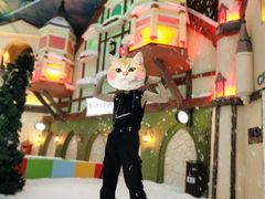 -世界之窗阿尔卑斯冰雪世界