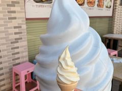-广州素食学校·素猫豆腐(长洲码头店)