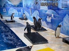 -重庆欢乐海底世界