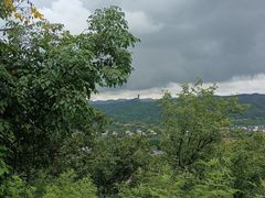 -磬锤峰森林公园
