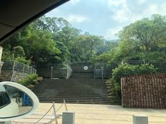 -银湖山郊野公园-相思林