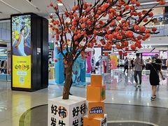 -凯德MALL(西直门店)