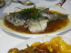 -至潮餐厅精致粤菜·活鲈鱼·走地鸡(珠江新城店)