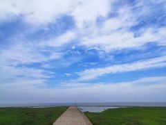 -南汇嘴观海公园