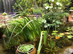 -肴约·花园式餐厅(湖里店)