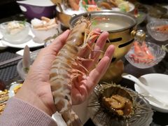 -半岛翡丽海鲜自助餐厅(观风亭店)
