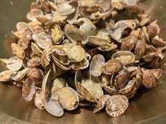 -浩运·海鲜青岛菜·海胆水饺(石老人店)