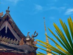 -西双版纳傣族园