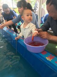 -萌宠亲子动物乐园(槐房万达店)