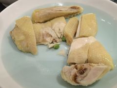 -新吉士·上海菜(浦东LCM置汇旭辉店)