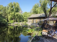 -三忘湖 SWANSEEN(柳荫公园店)