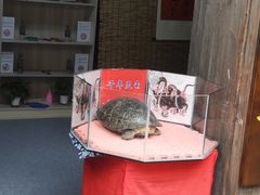 -前童古镇