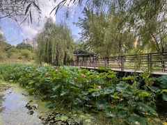 -沐仙湖湿地公园