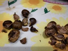 -杨记板栗(天虹总店)