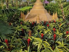 -南宫五洲植物乐园
