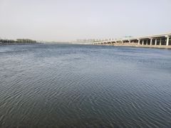 -丁香湖公园