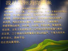 -贵凤凰贵州米粉(望京店)